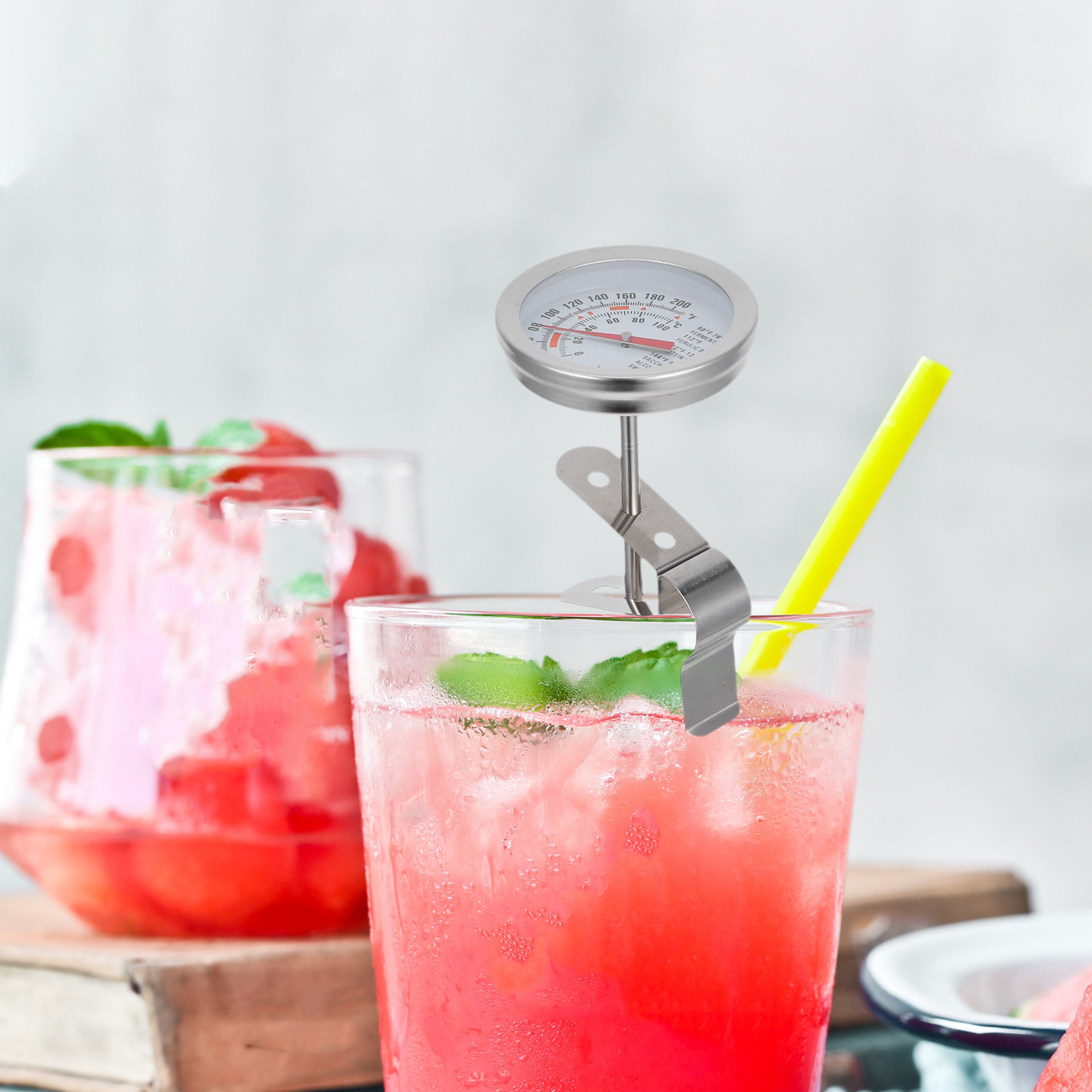 Afneembare 304 roestvrijstalen - Instant Read Thermometer recensie en prijs